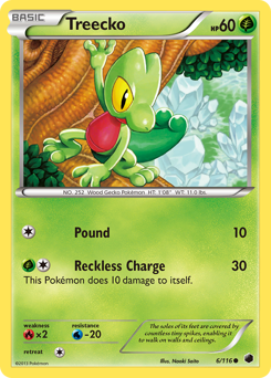 Treecko z edície Plasma Freeze, karta č.6