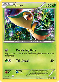 Snivy z edície BW Black Star Promos, karta č.BW06
