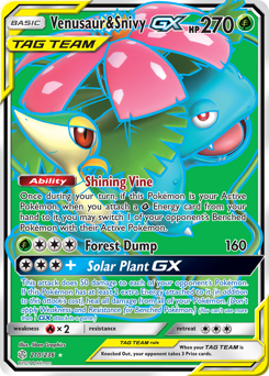 Venusaur & Snivy-GX z edície Cosmic Eclipse, karta č.210