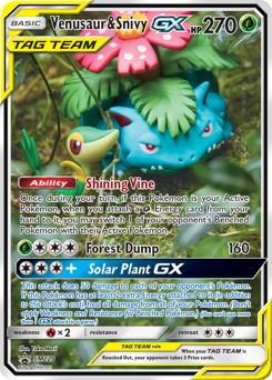 Venusaur & Snivy-GX z edície SM Black Star Promos, karta č.SM229