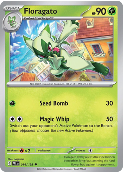 Floragato z edície Paldea Evolved, karta č.14