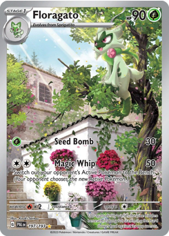 Floragato z edície Paldea Evolved, karta č.197