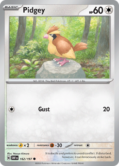 Pidgey z edície Obsidian Flames, karta č.162
