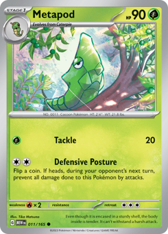 Metapod z edície 151, karta č.11