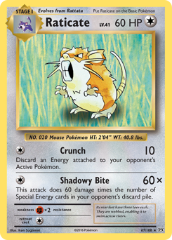 Raticate z edície Evolutions, karta č.67