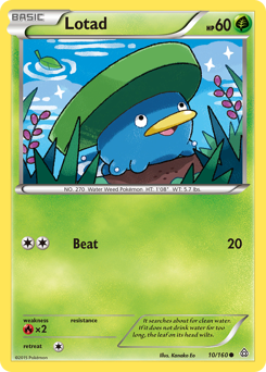 Lotad z edície Primal Clash, karta č.10