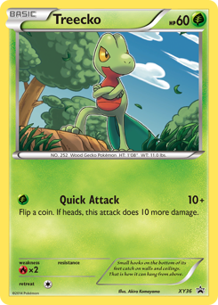 Treecko z edície XY Black Star Promos, karta č.XY36