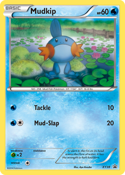 Mudkip z edície XY Black Star Promos, karta č.XY38